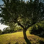 Podere Belvedere Tuscany * Pontassieve
