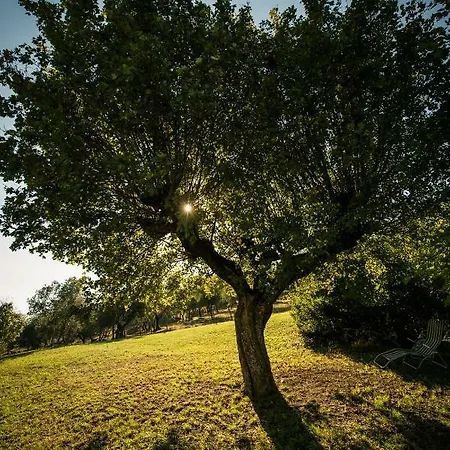 Podere Belvedere Tuscany * Pontassieve